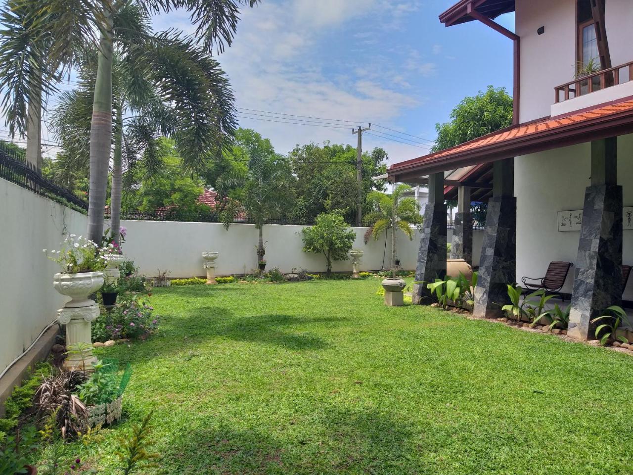 Cosy Nest Home Stay Negombo Eksteriør billede