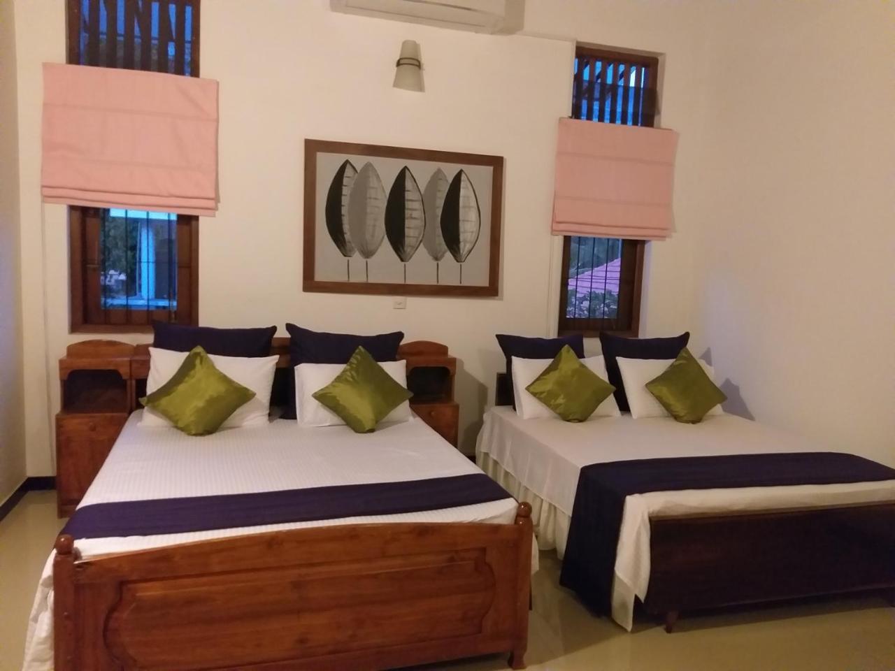 Cosy Nest Home Stay Negombo Eksteriør billede